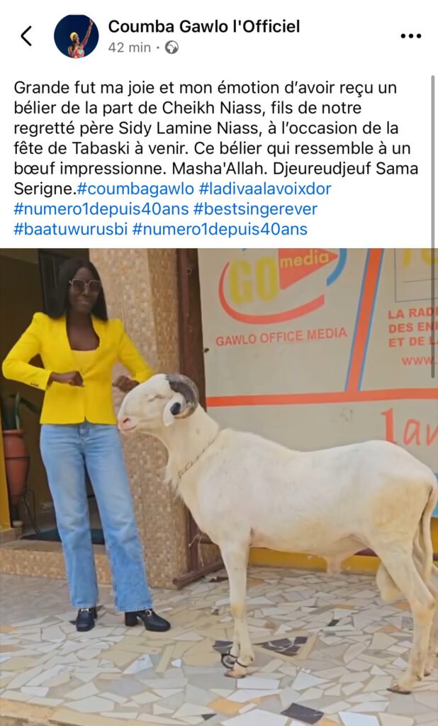 Cheikh Niass offre à Coumba Gawlo un impressionnant bélier pour la Tabaski